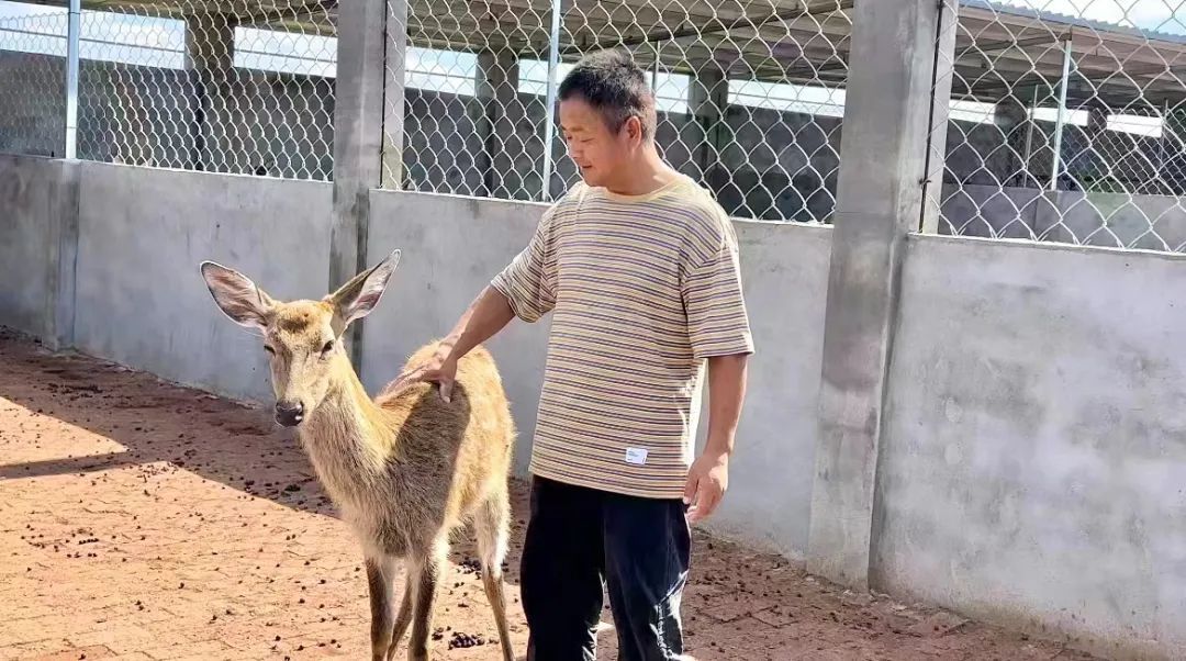 10博网站打不开